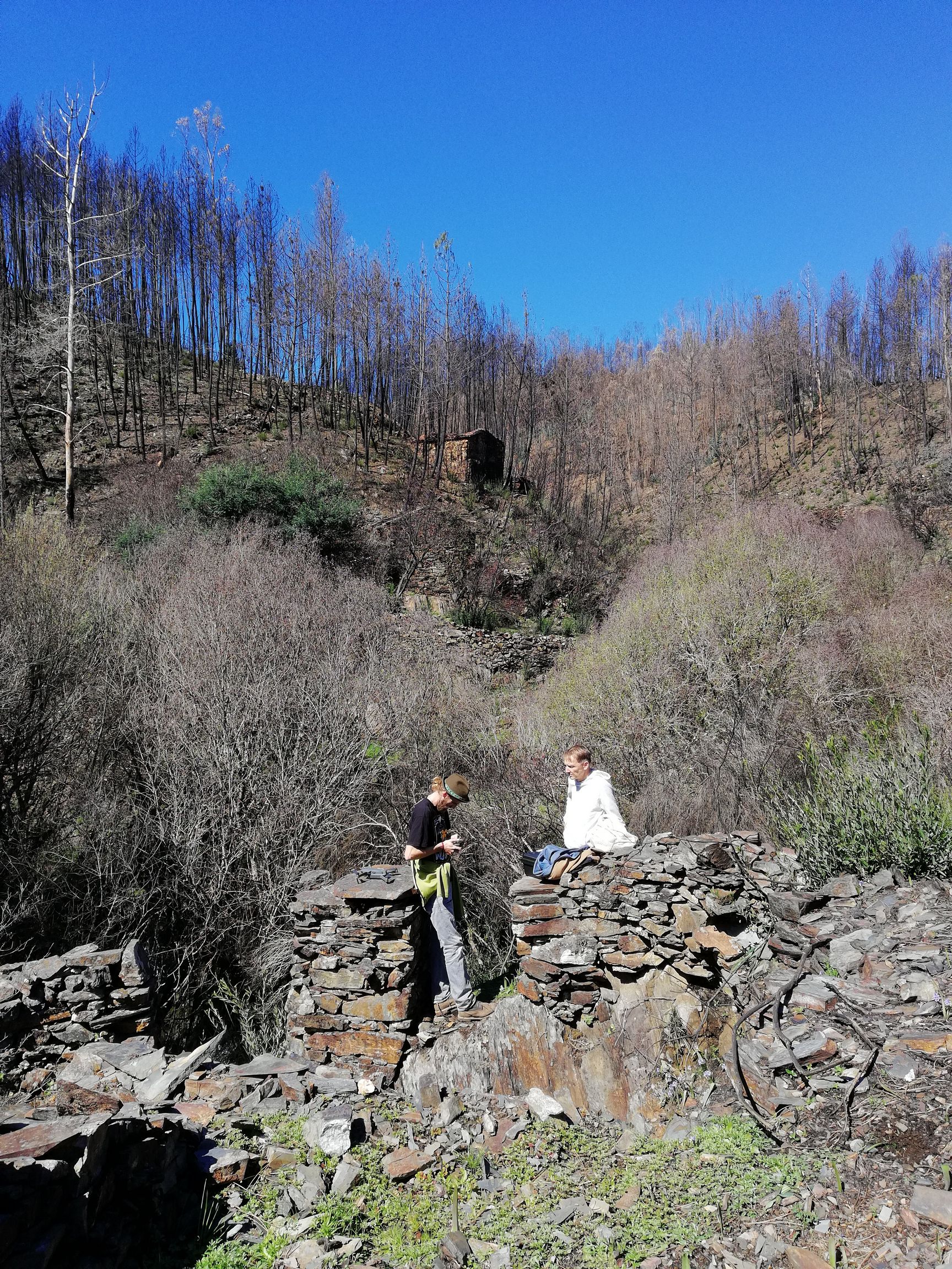 March 2018 Ruine auf dem nächsten Grundstück